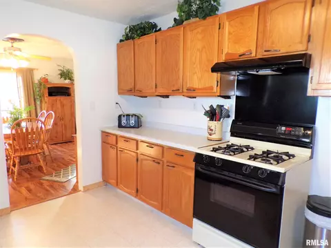 403 W Snyder St, Abingdon, IL 61410 photo 23
