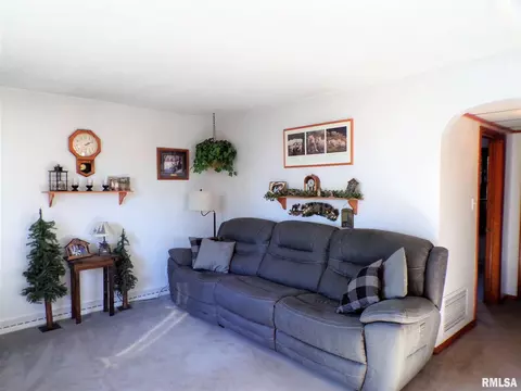 403 W Snyder St, Abingdon, IL 61410 photo 14