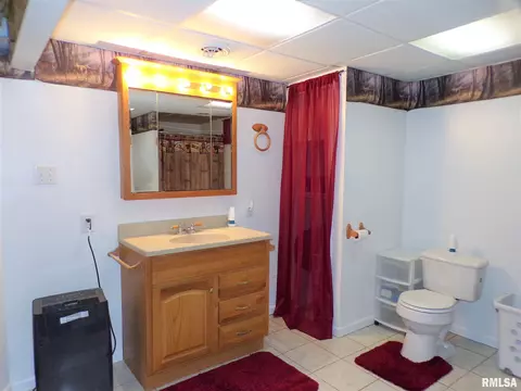 403 W Snyder St, Abingdon, IL 61410 photo 39