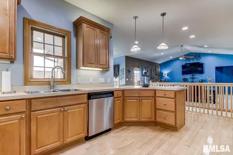 524 Willows Ave, Chatham, IL 62629 photo 13
