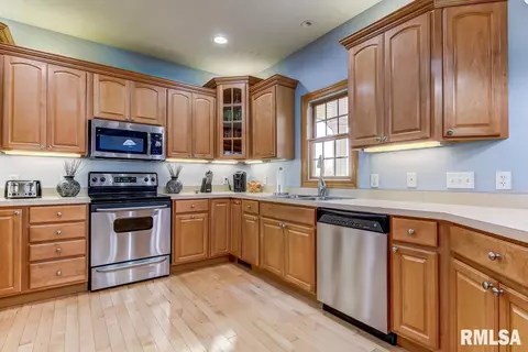 524 Willows Ave, Chatham, IL 62629 photo 11