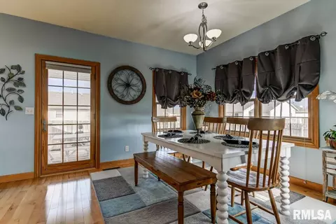 524 Willows Ave, Chatham, IL 62629 photo 16