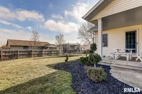 524 Willows Ave, Chatham, IL 62629 photo 41