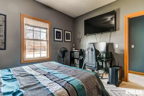 524 Willows Ave, Chatham, IL 62629 photo 25