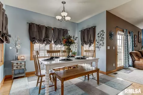 524 Willows Ave, Chatham, IL 62629 photo 15