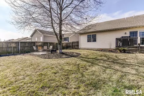 524 Willows Ave, Chatham, IL 62629 photo 44