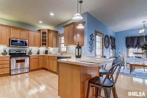 524 Willows Ave, Chatham, IL 62629 photo 10