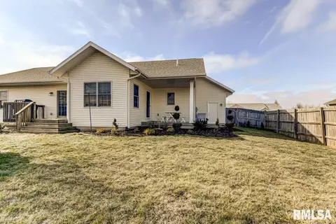 524 Willows Ave, Chatham, IL 62629 photo 43