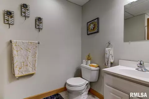 524 Willows Ave, Chatham, IL 62629 photo 39