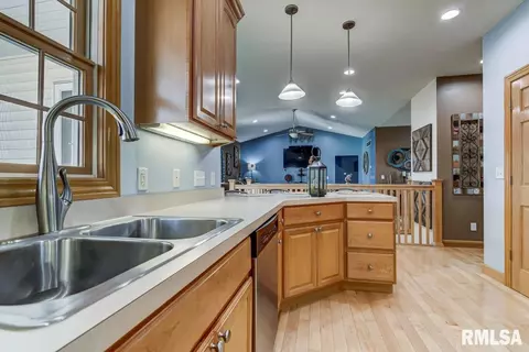 524 Willows Ave, Chatham, IL 62629 photo 12