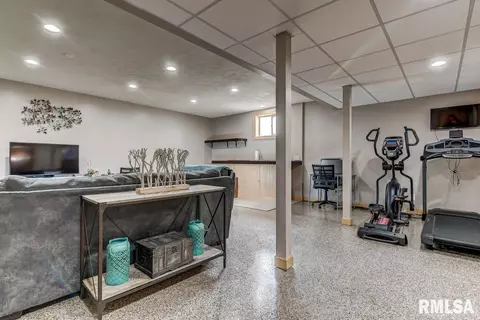 524 Willows Ave, Chatham, IL 62629 photo 34