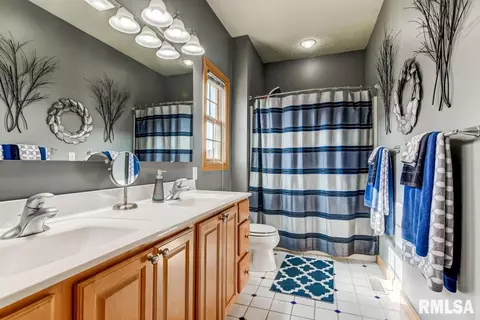 524 Willows Ave, Chatham, IL 62629 photo 23