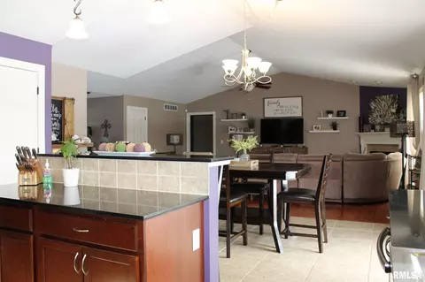 302 Eagle Ridge Dr, Chatham, IL 62629 photo 14