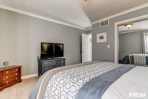 3205 Eagle Watch Dr, Springfield, IL 62711 photo 33