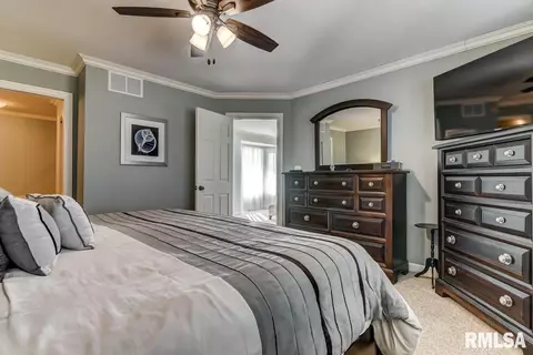 3205 Eagle Watch Dr, Springfield, IL 62711 photo 29