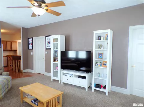 113 W B St, Alpha, IL 61413 photo 11