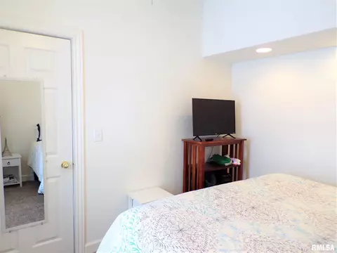113 W B St, Alpha, IL 61413 photo 35