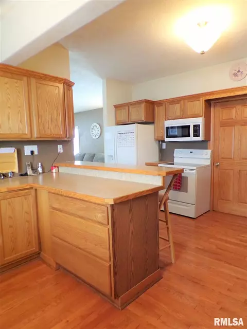 113 W B St, Alpha, IL 61413 photo 15