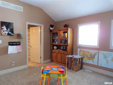 113 W B St, Alpha, IL 61413 photo 26