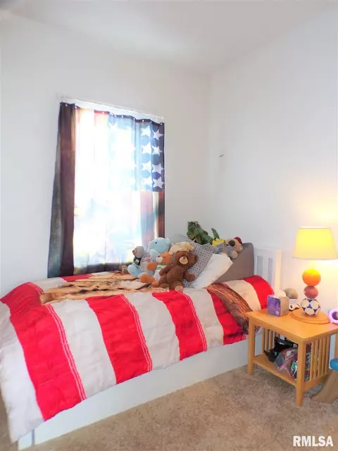113 W B St, Alpha, IL 61413 photo 30