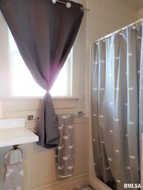113 W B St, Alpha, IL 61413 photo 19