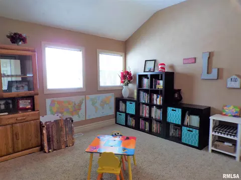 113 W B St, Alpha, IL 61413 photo 27