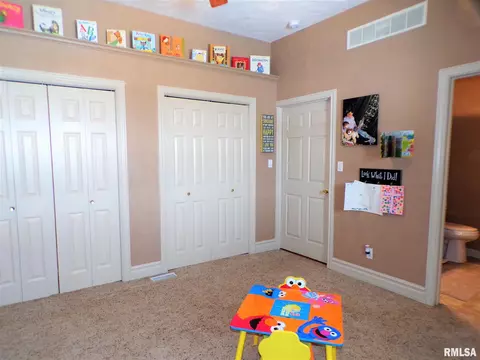 113 W B St, Alpha, IL 61413 photo 29