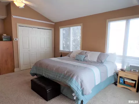 113 W B St, Alpha, IL 61413 photo 20
