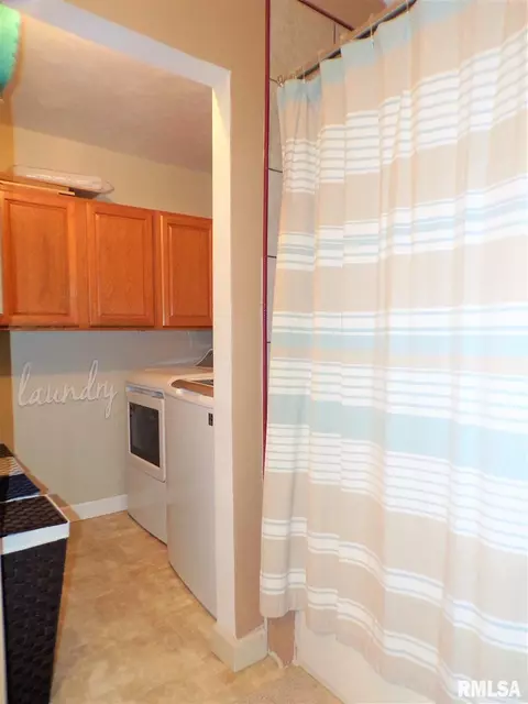 113 W B St, Alpha, IL 61413 photo 24