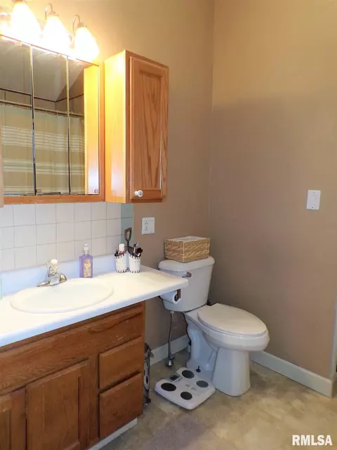 113 W B St, Alpha, IL 61413 photo 25