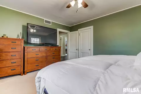 1415 Wiggins Ave, Springfield, IL 62704 photo 30