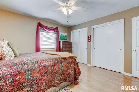 625 E Walnut St, Chatham, IL 62629 photo 17