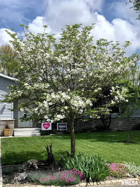 625 E Walnut St, Chatham, IL 62629 photo 32