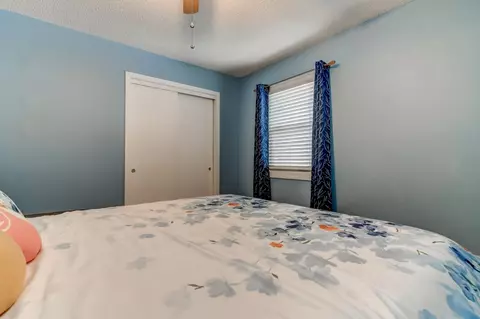 625 E Walnut St, Chatham, IL 62629 photo 21