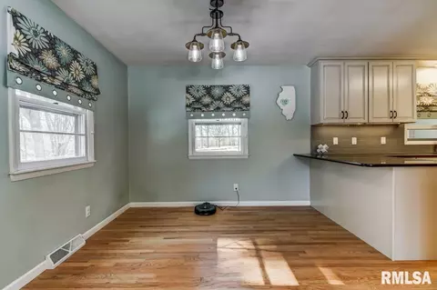 1061 Archer Elevator Rd, Springfield, IL 62711 photo 10