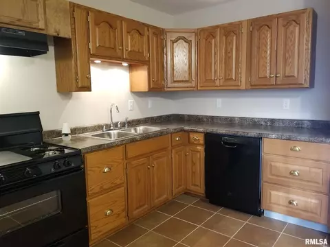 1917 Holly Dr, Springfield, IL 62703 photo 6