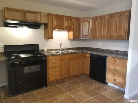 1917 Holly Dr, Springfield, IL 62703 photo 5