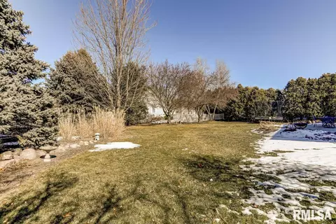3221 Falcon Point Dr, Springfield, IL 62711 photo 41