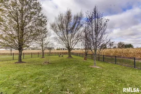 491 Belle Isle Ct, Springfield, IL 62711 photo 6