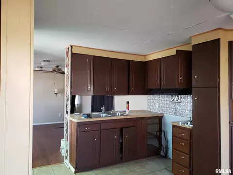405 S Spring St, Mount Pulaski, IL 62548 photo 3