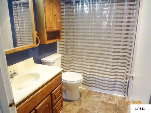 120 E Pine St, Broadwell, IL 62634 photo 12