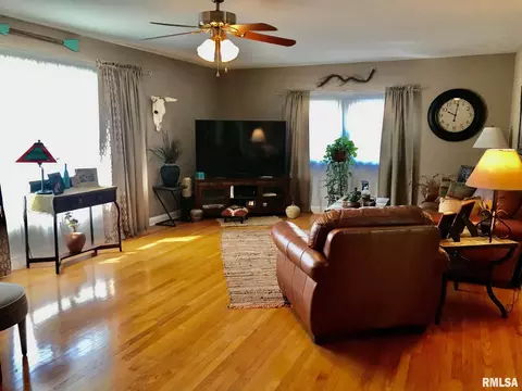 39 Vivian Ln, Springfield, IL 62712 photo 8