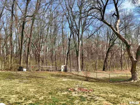 39 Vivian Ln, Springfield, IL 62712 photo 39
