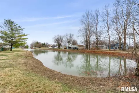 401 Treeline Ln, Springfield, IL 62703 photo 35