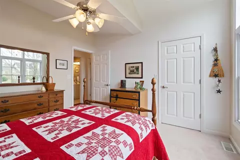 401 Treeline Ln, Springfield, IL 62703 photo 22