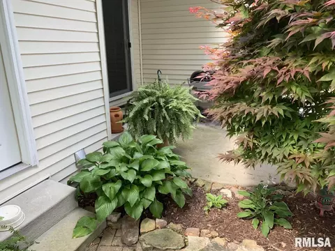 401 Treeline Ln, Springfield, IL 62703 photo 38