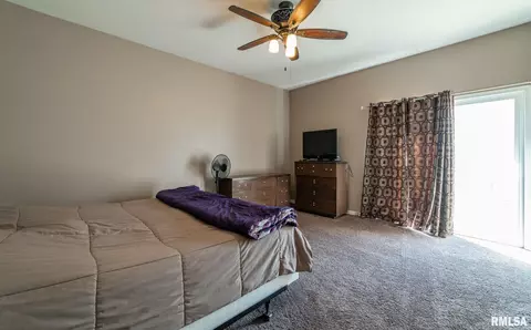 103 W Wayne St, Mount Pulaski, IL 62548 photo 9