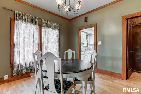 520 S Park Ave, Springfield, IL 62704 photo 12