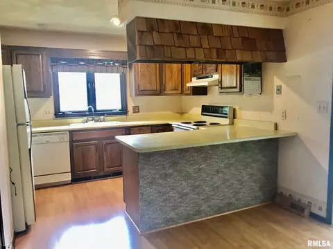 7420 E State Route 54 Rd, Riverton, IL 62561 photo 6