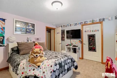 4770 Leah Dr, Springfield, IL 62711 photo 30